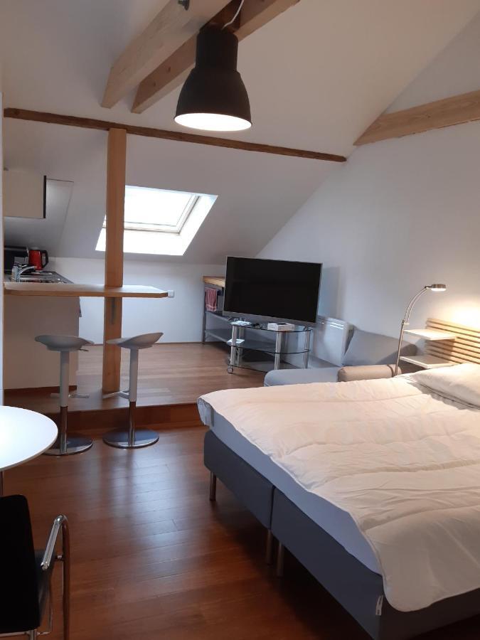 Loft Studio Avec Charme Et Authenticite 알트키르슈 외부 사진